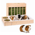 3-in-1 Small Pet Hay Feeder Station