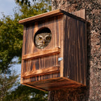 Wooden Owl Nesting Box with Landing Platform