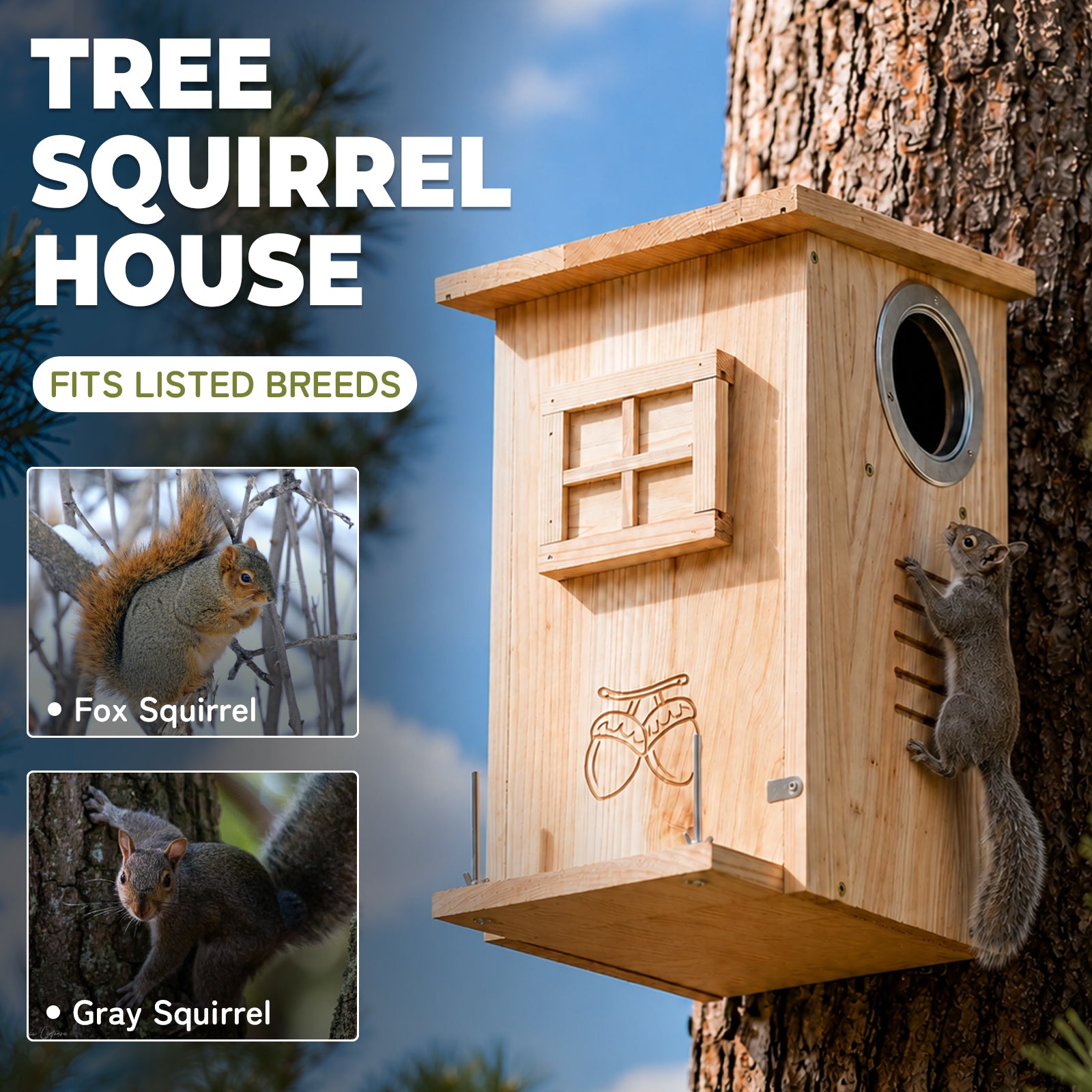 Wooden Squirrel House with Dual Corn Feeder