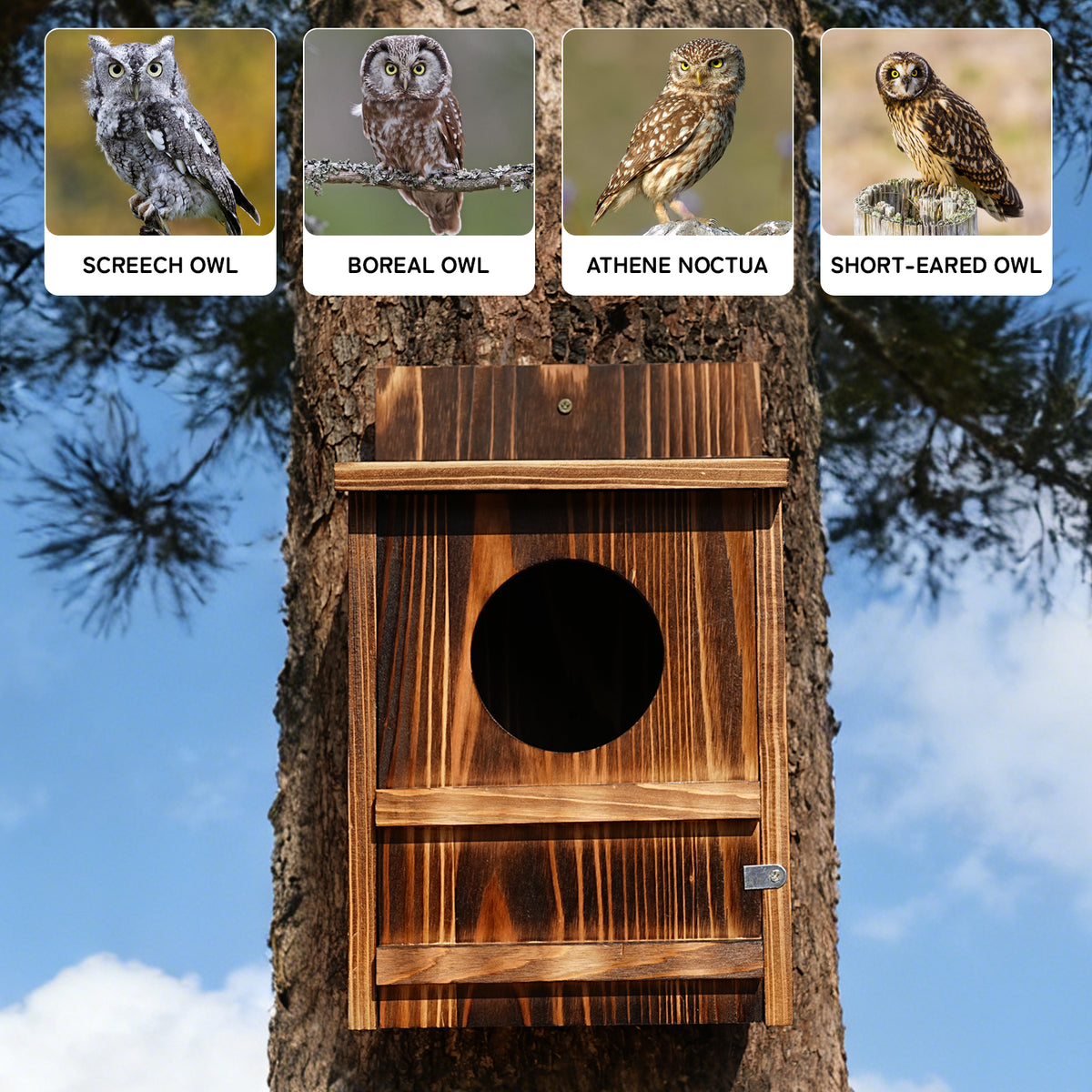 Wooden Owl Nesting Box with Landing Platform