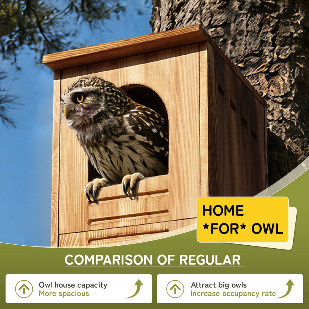 Extra Large Wooden Owl House