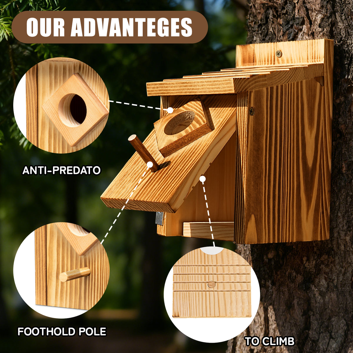 Wooden Outdoor Bird House