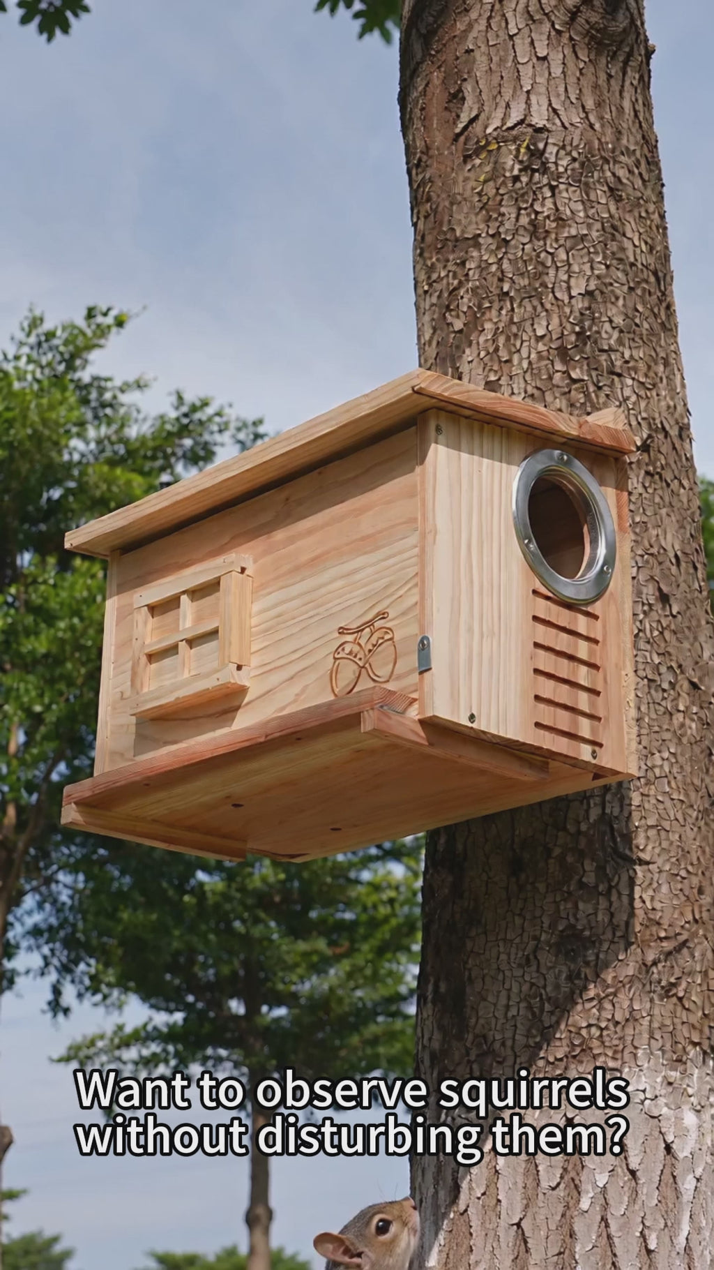 Side-Entrance Wooden Squirrel House