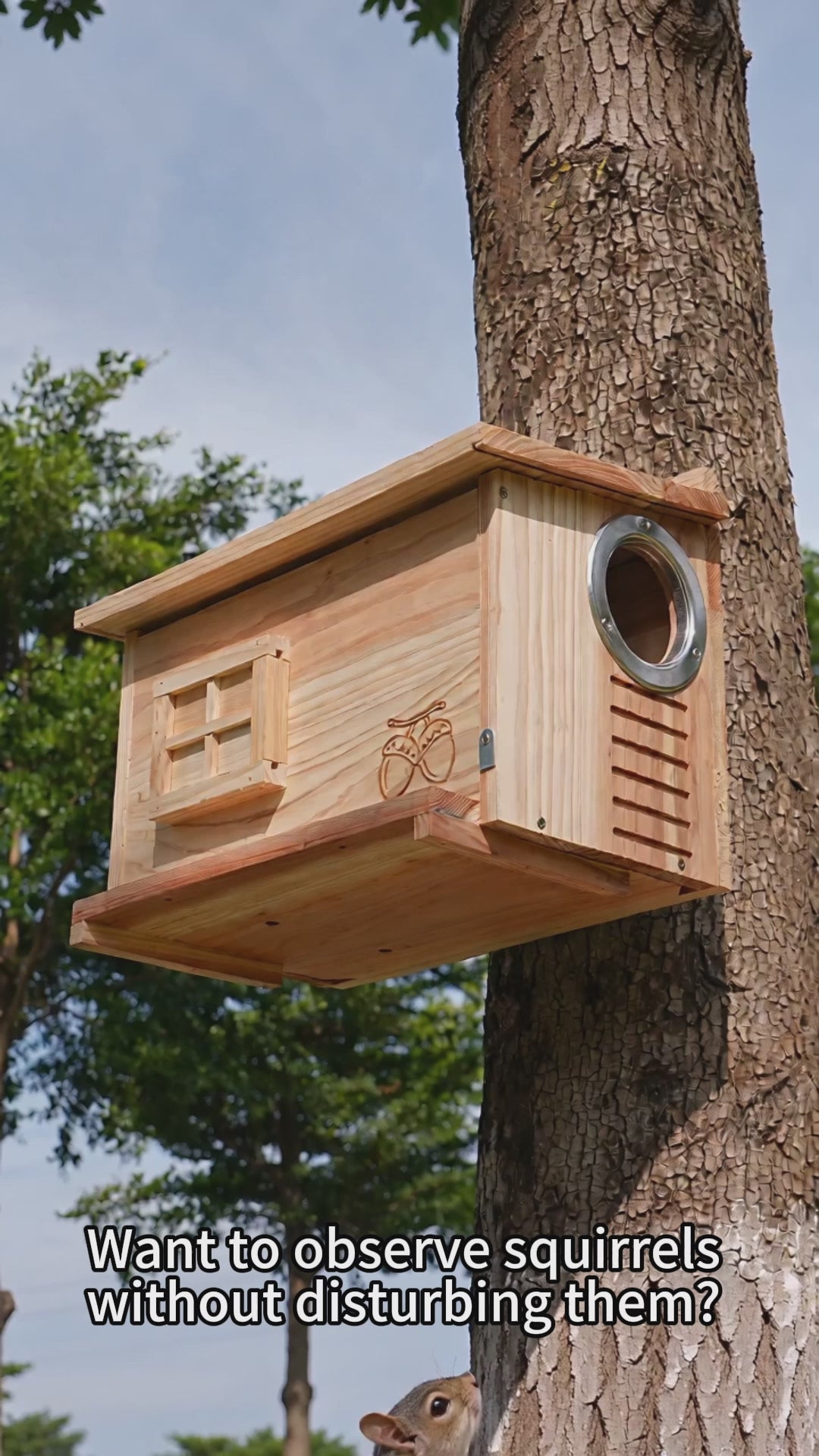 Side-Entrance Wooden Squirrel House